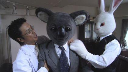 executive koala 2.jpg